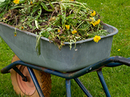 gutter cleaners melbourne